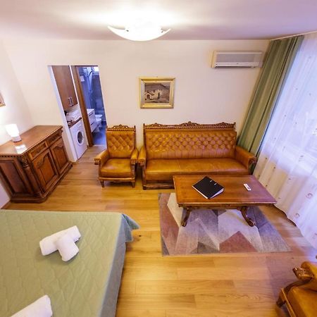 Apartament Family Rivulus 8 Baia Mare Bagian luar foto