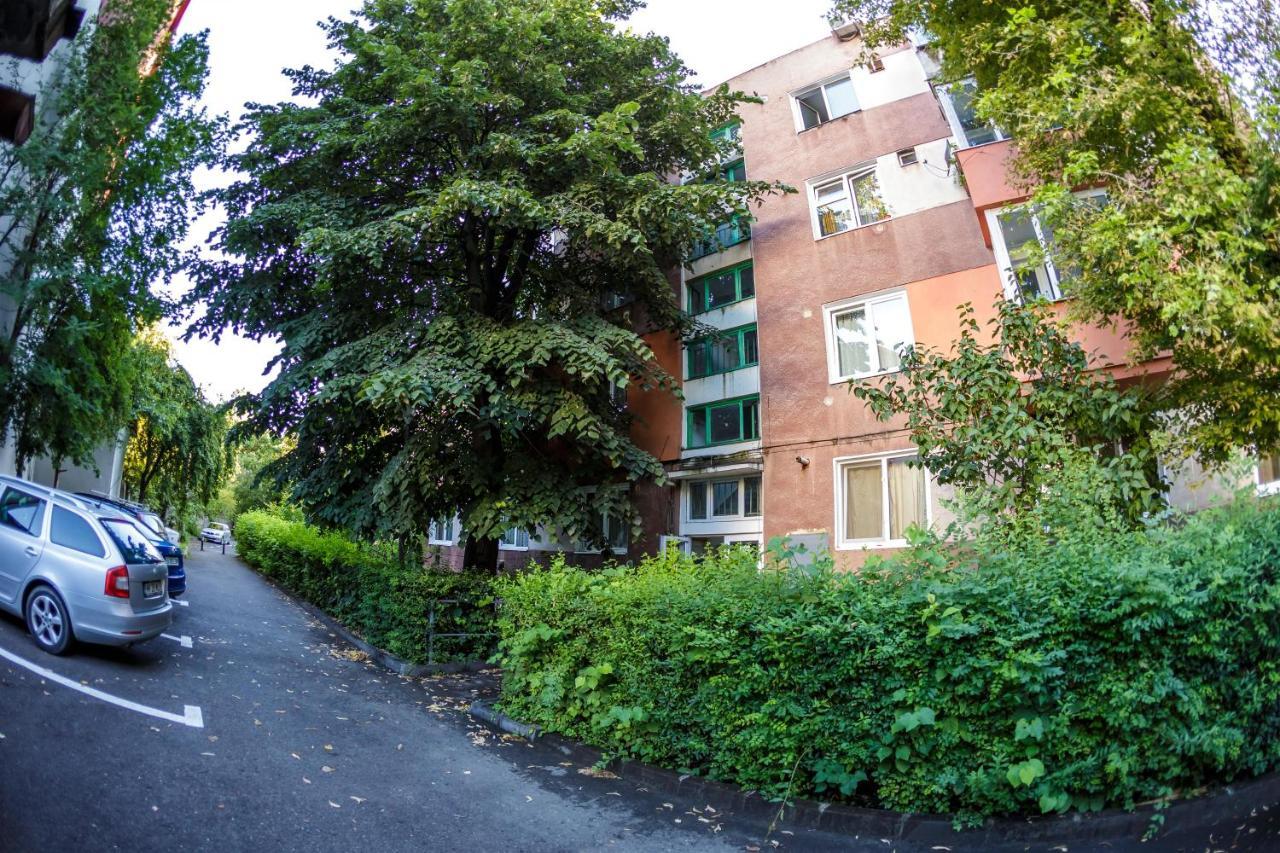 Apartament Family Rivulus 8 Baia Mare Bagian luar foto